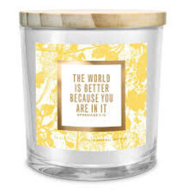 SOY CANDLE WORLD IS BETTER PLACE 13OZ