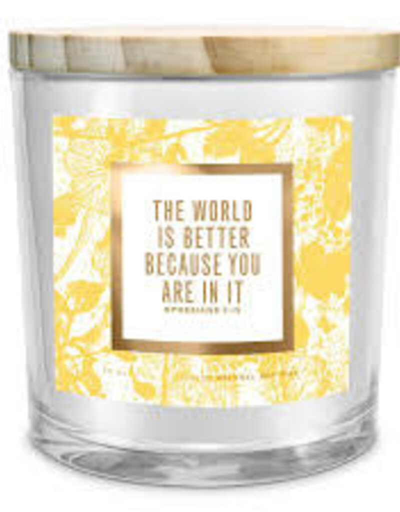 SOY CANDLE WORLD IS BETTER PLACE 13OZ