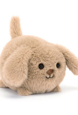 Caboodle Puppy