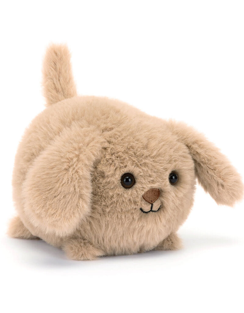 Caboodle Puppy