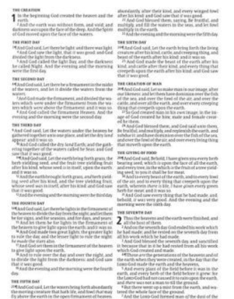 KJV Compact Bible Navy