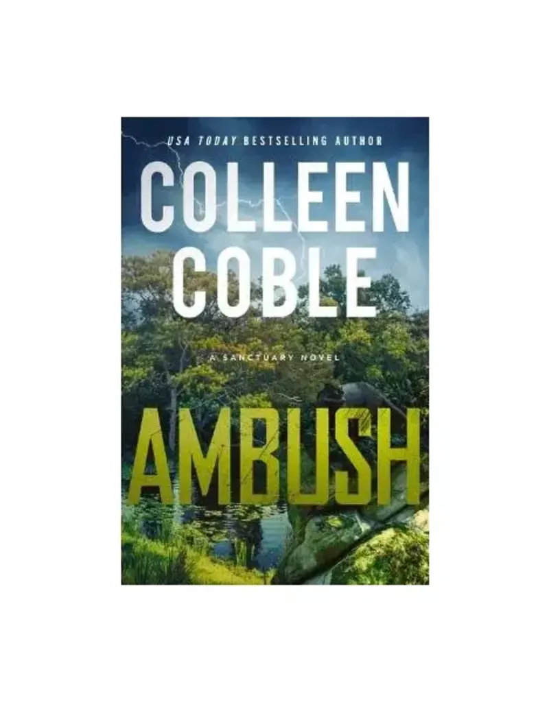 Ambush: A Small-Town Romantic Suspense (A Sanctuary Novel)