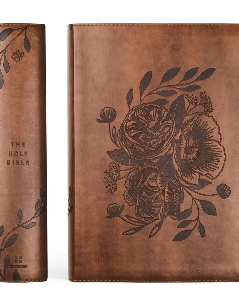 Esv Study Bible : Aurora Theme