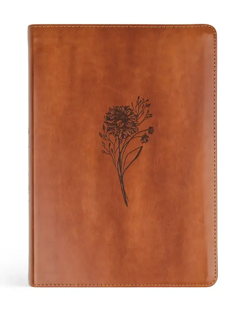 Esv Large Print Journaling Bible : Sierra Theme