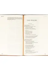 Esv Large Print Journaling Bible : Sierra Theme