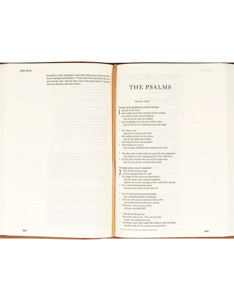 Esv Large Print Journaling Bible : Sierra Theme