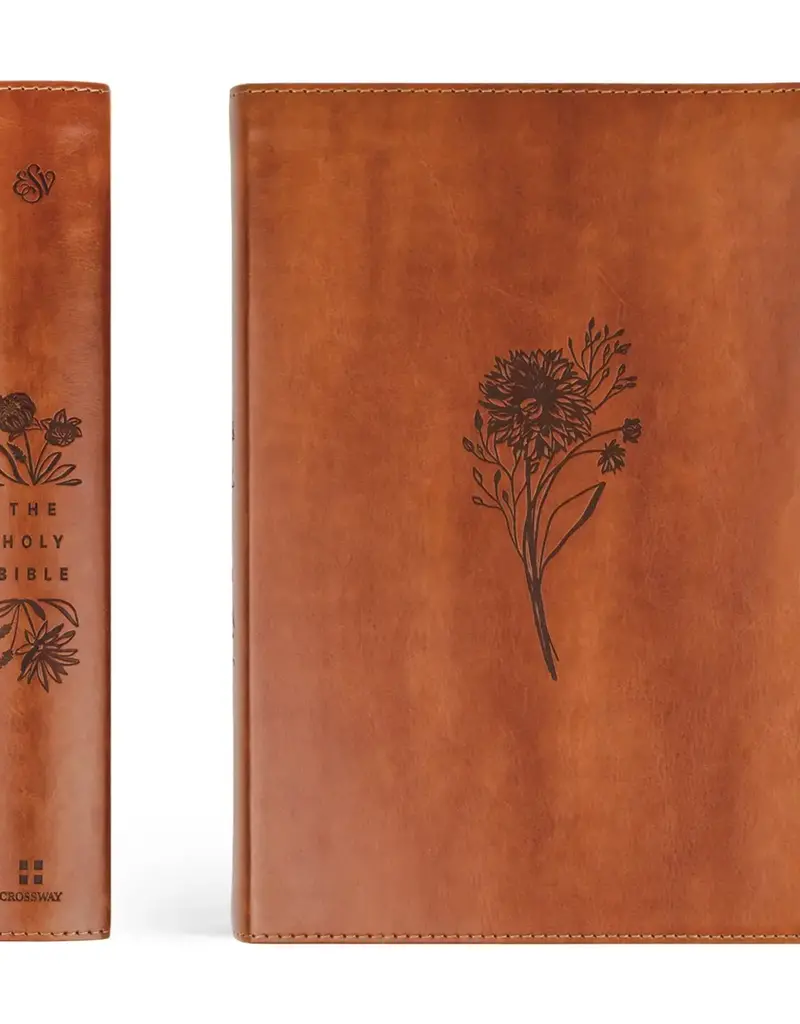 Esv Large Print Journaling Bible : Sierra Theme