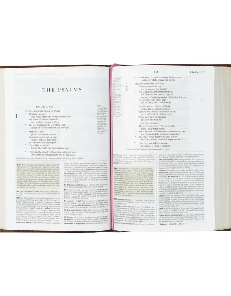 Esv Large Print Journaling Bible : Nara Theme