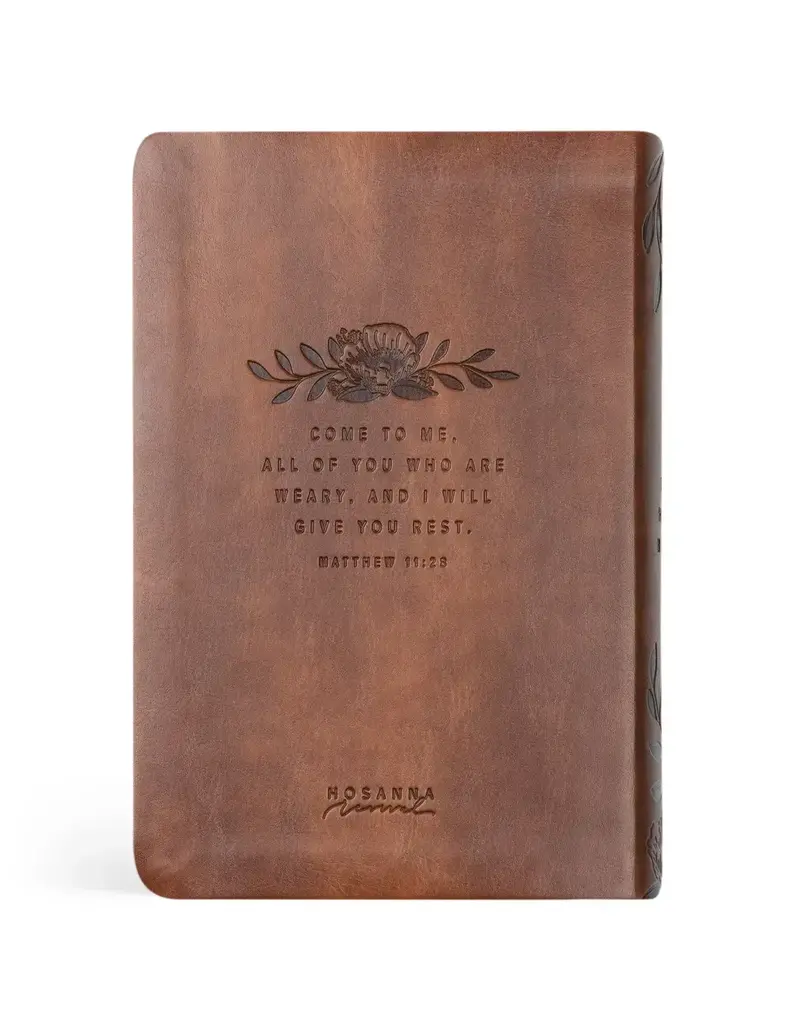 NLT Compact Bible: Aurora Theme