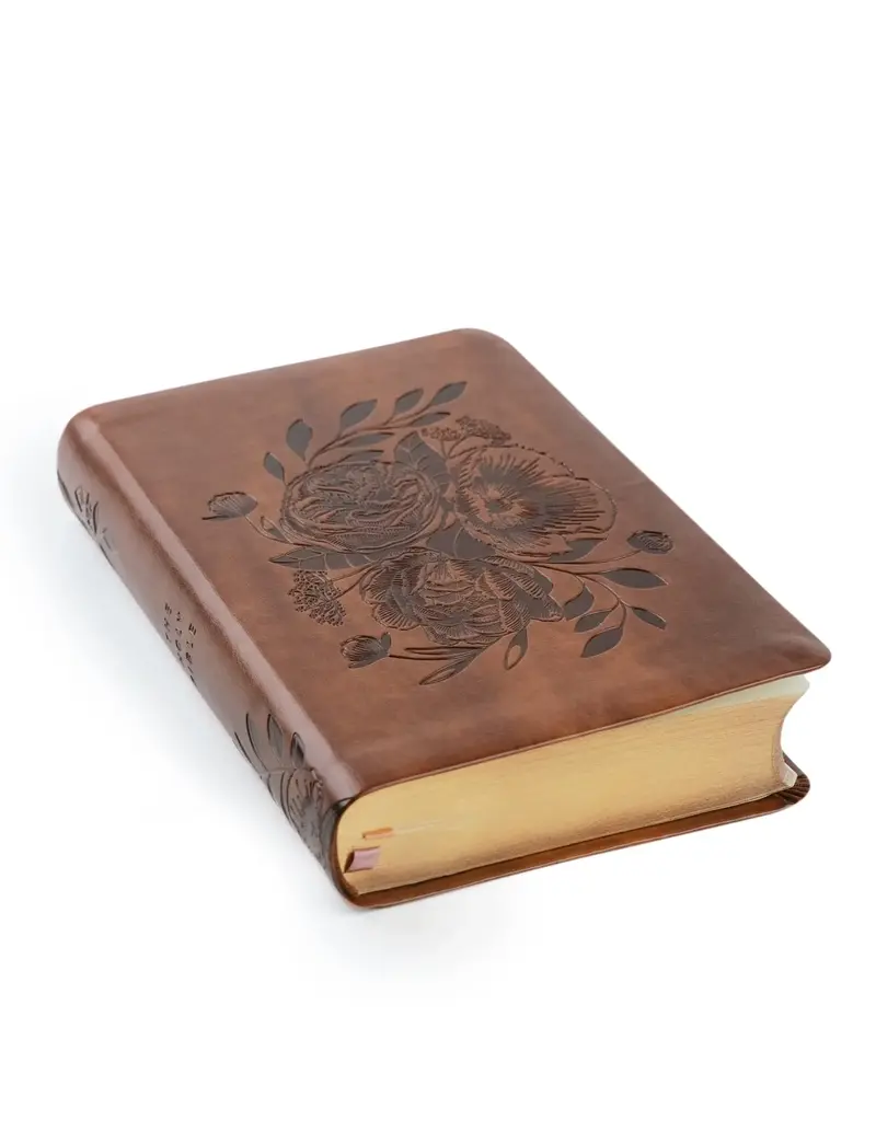 NLT Compact Bible: Aurora Theme