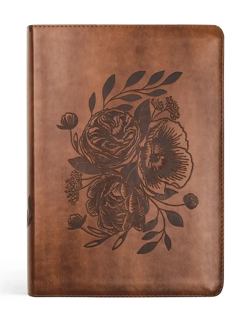NLT Compact Bible: Aurora Theme