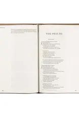 NLT Compact Bible: Aurora Theme