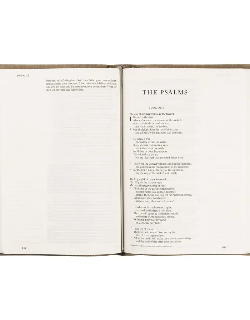 NLT Compact Bible: Aurora Theme