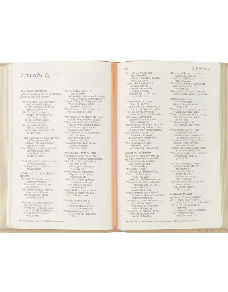 Nlt Compact Bible: Sonora Theme