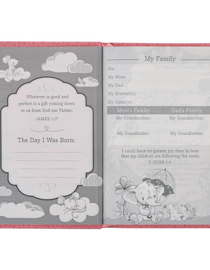 NLT Infant Bible New Testament--soft leather-look, pink