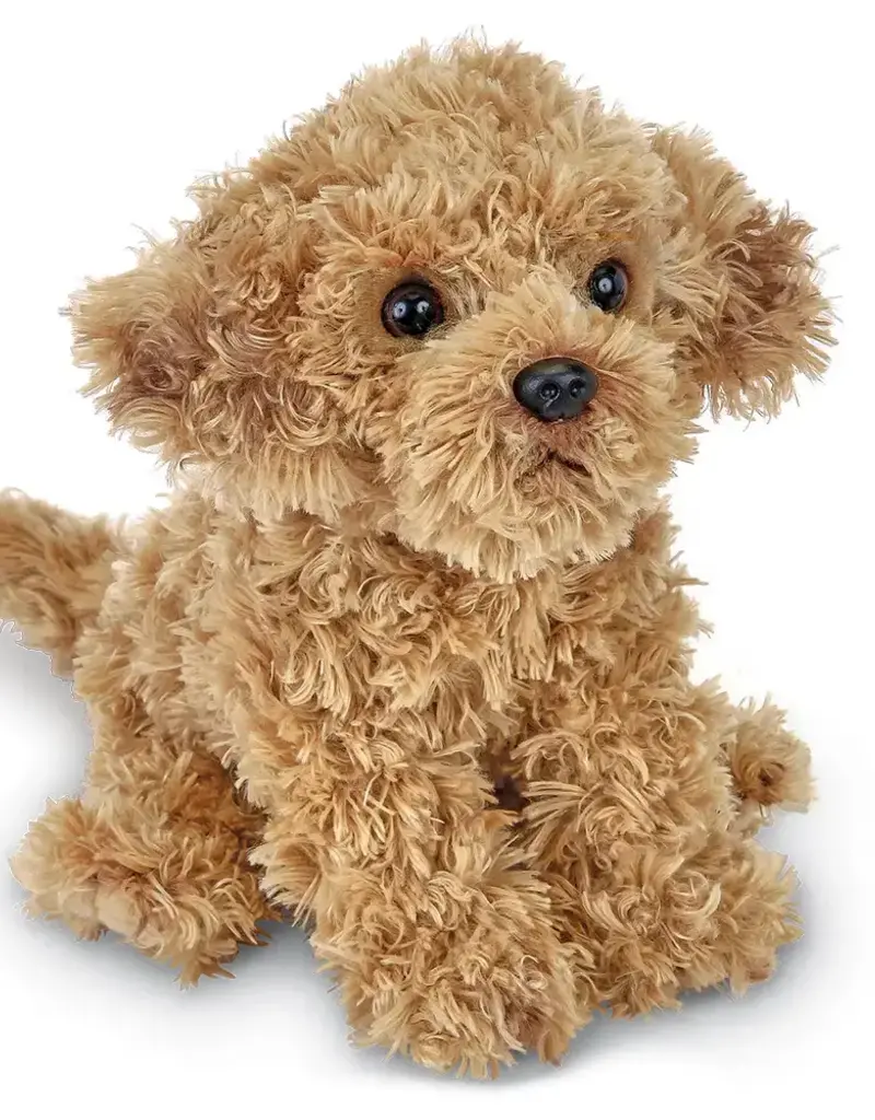 Doodles the Labradoodle