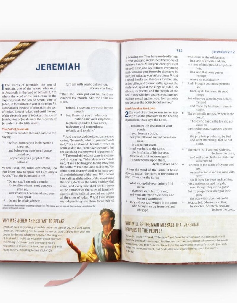 ESV Following Jesus Bible®  TruTone®, Blush Rose