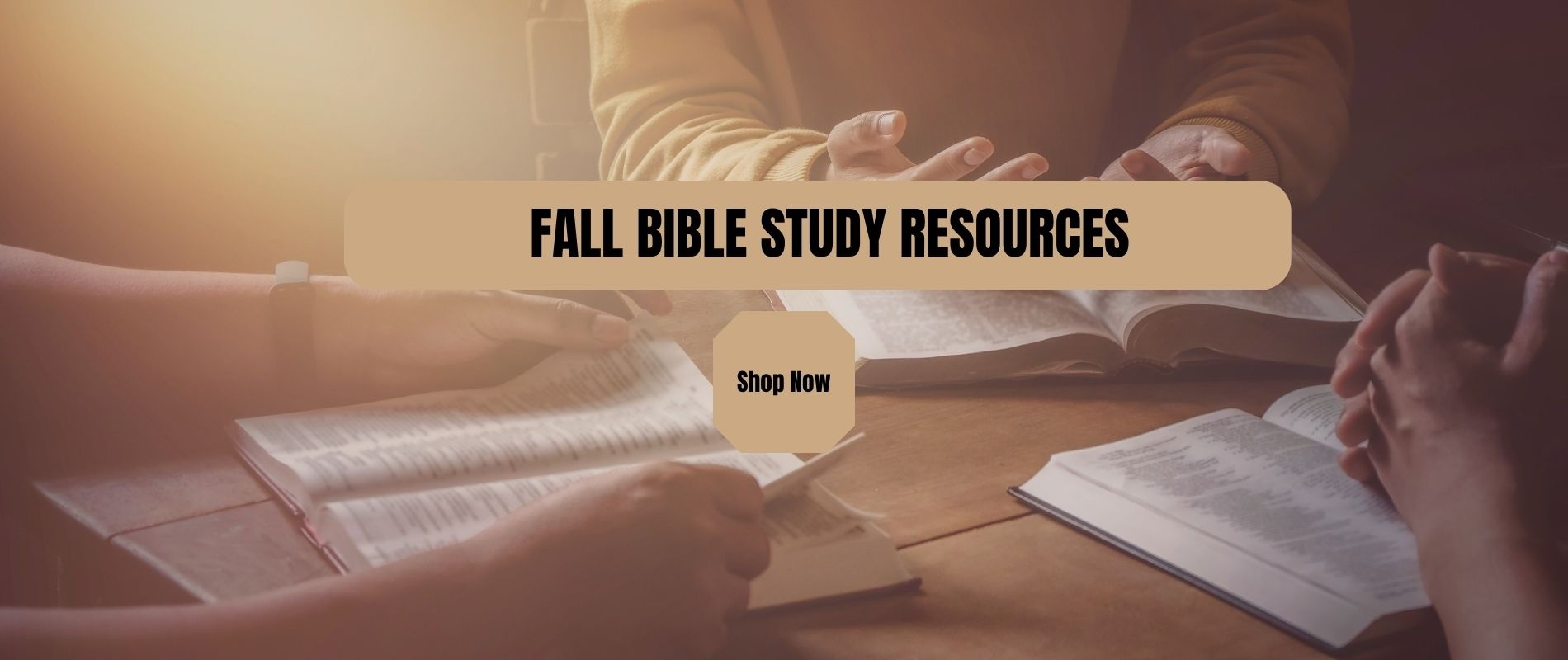 Fall Studies 