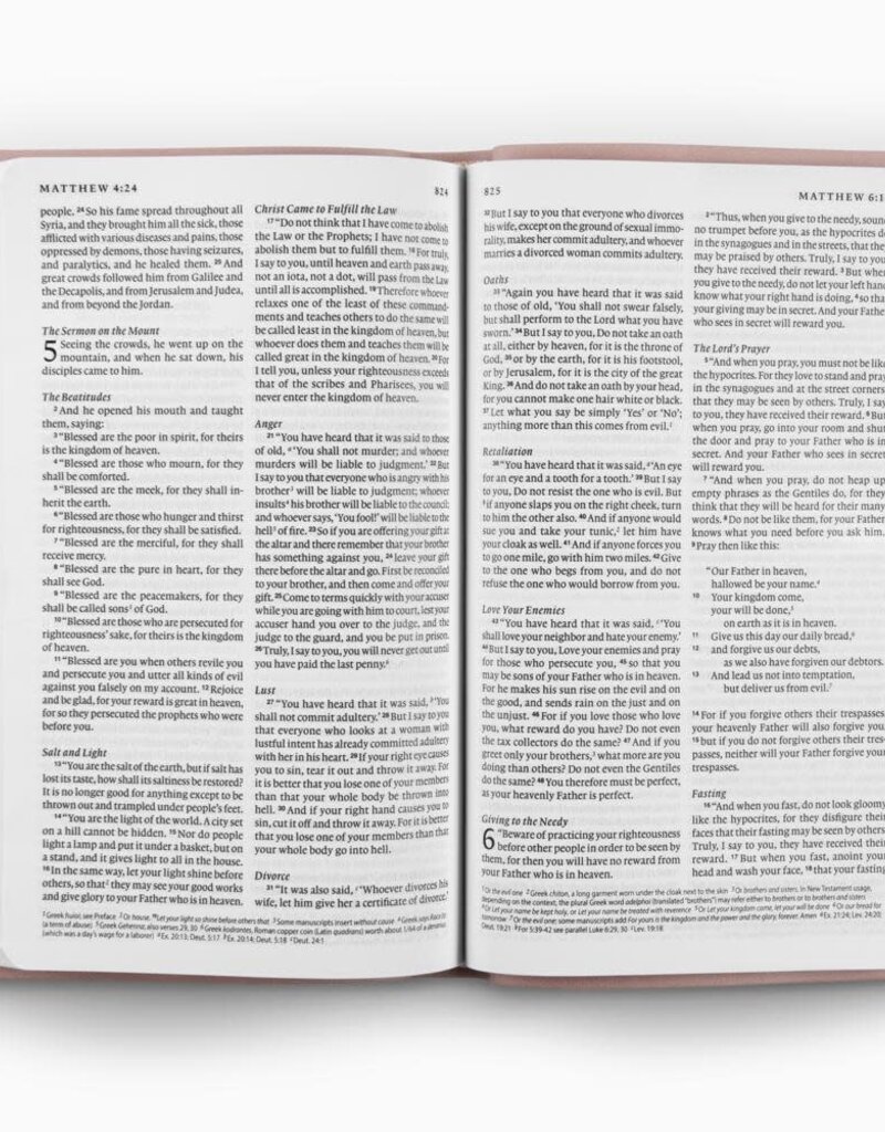 ESV Premium Gift Bible  TruTone®, Blush Rose