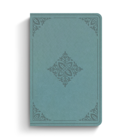 ESV Premium Gift Bible  TruTone  Paris Sky, Fleur-de-lis Design