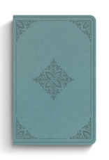ESV Premium Gift Bible  TruTone  Paris Sky, Fleur-de-lis Design