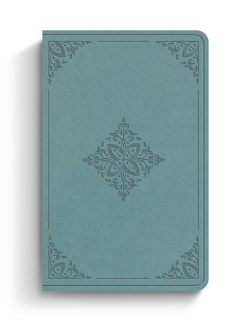 ESV Premium Gift Bible  TruTone  Paris Sky, Fleur-de-lis Design