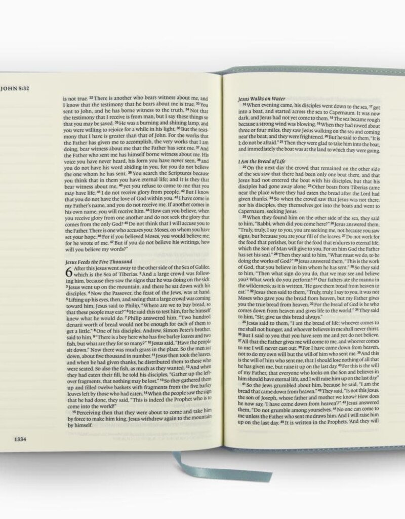 ESV Single Column Journaling Bible, Large Print  TruTone®, Paris Sky, Judges 5:3 Design