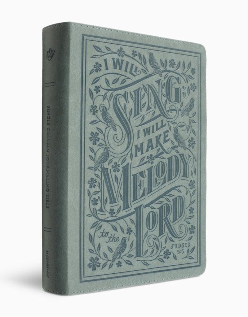 ESV Single Column Journaling Bible, Large Print  TruTone®, Paris Sky, Judges 5:3 Design