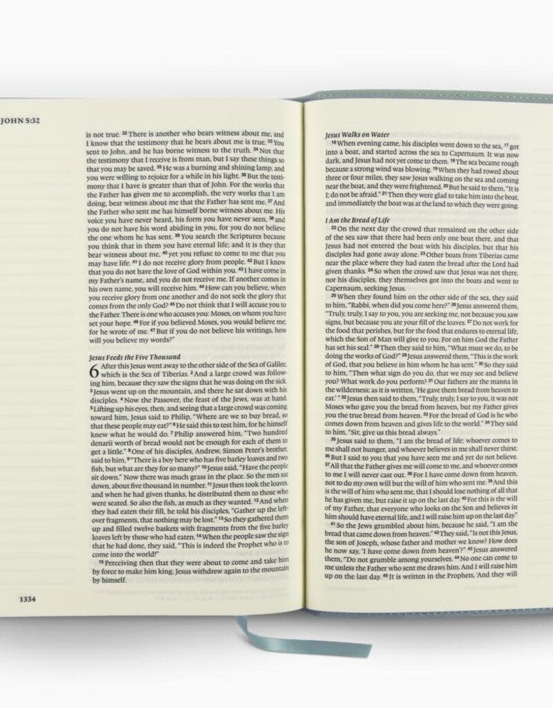 ESV Single Column Journaling Bible, Large Print  TruTone®, Paris Sky, Judges 5:3 Design