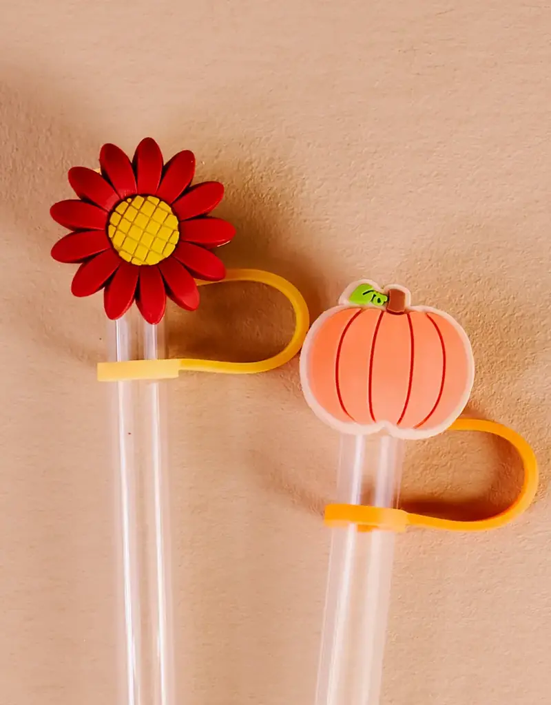 Straw Topper Set-Petals & Pumpkins