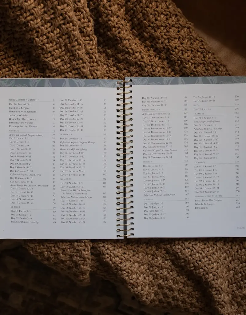 A Year in the Bible  - Volume 1