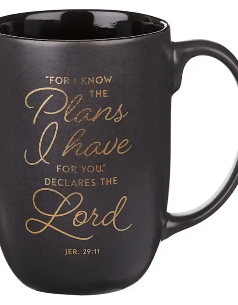 I Know the Plans Graphite Gray Ceramic Mug - Jeremiah 29:11