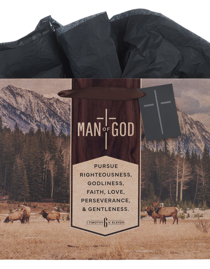 Man of God Brown Trailhead Large Landscape Gift Bag - 1 Timothy 6:11