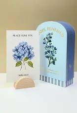 Faith Collection Guided Cards W/Stand Hope Renewed