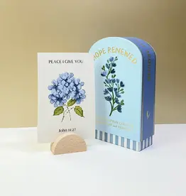 Faith Collection Guided Cards W/Stand Hope Renewed