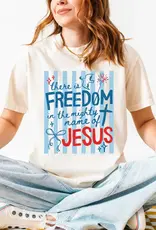 Freedom in Jesus Graphic Tee  Patriotic Tshirt