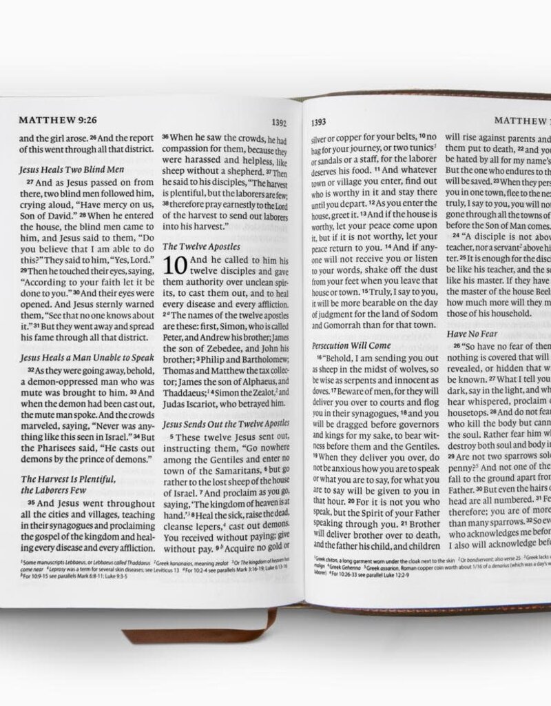 ESV Giant Print Personal Size Bible  TruTone®, Forest/Tan, Trail Design