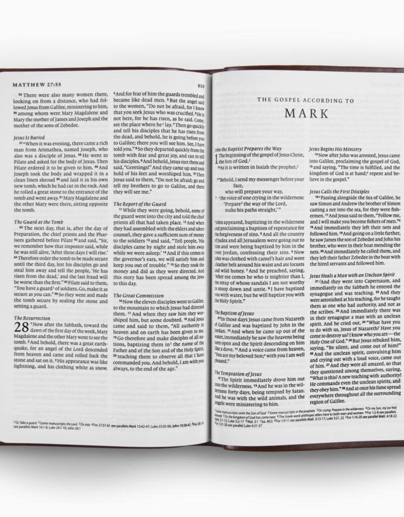 ESV Premium Gift Bible  TruTone®, Brown