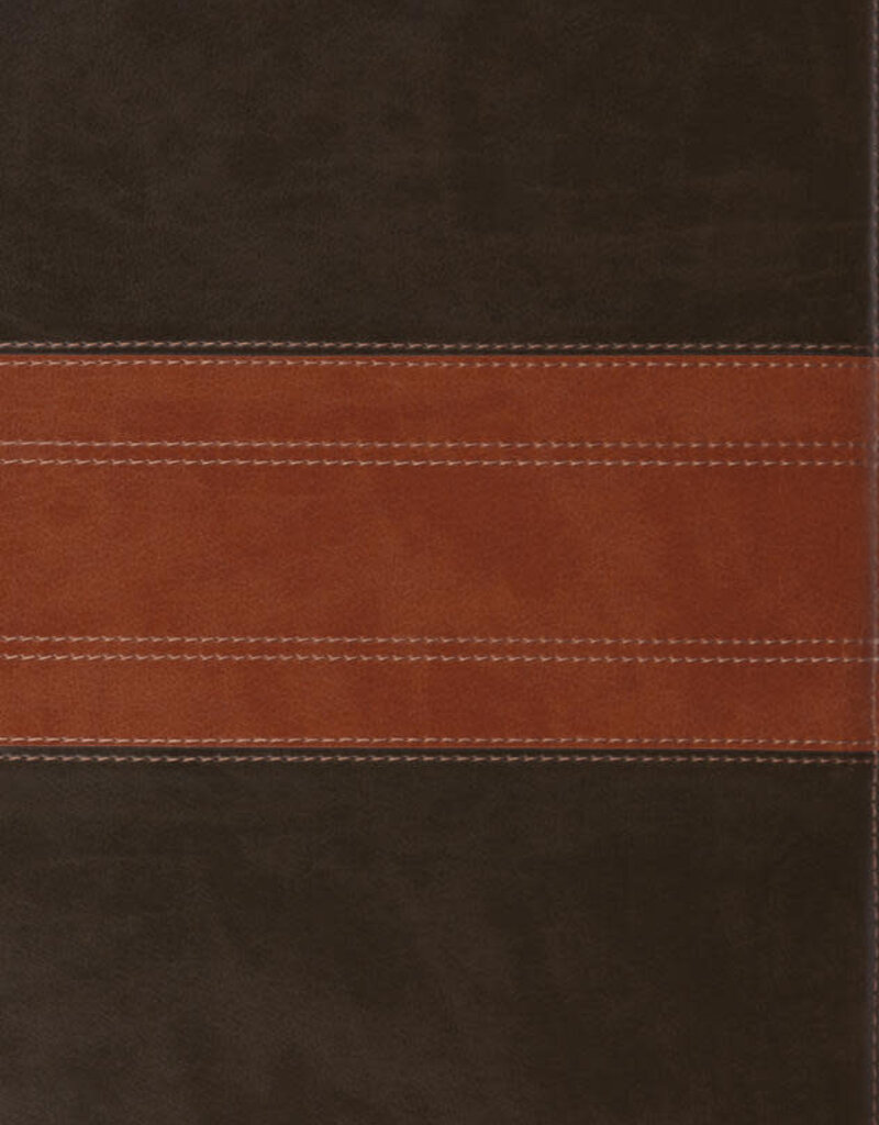 ESV Large Print Personal Size Bible, Red Letter  TruTone®, Forest/Tan, Trail Design