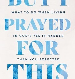 But I Prayed for This What to Do When Living in God's Yes Is Harder Than You Expected