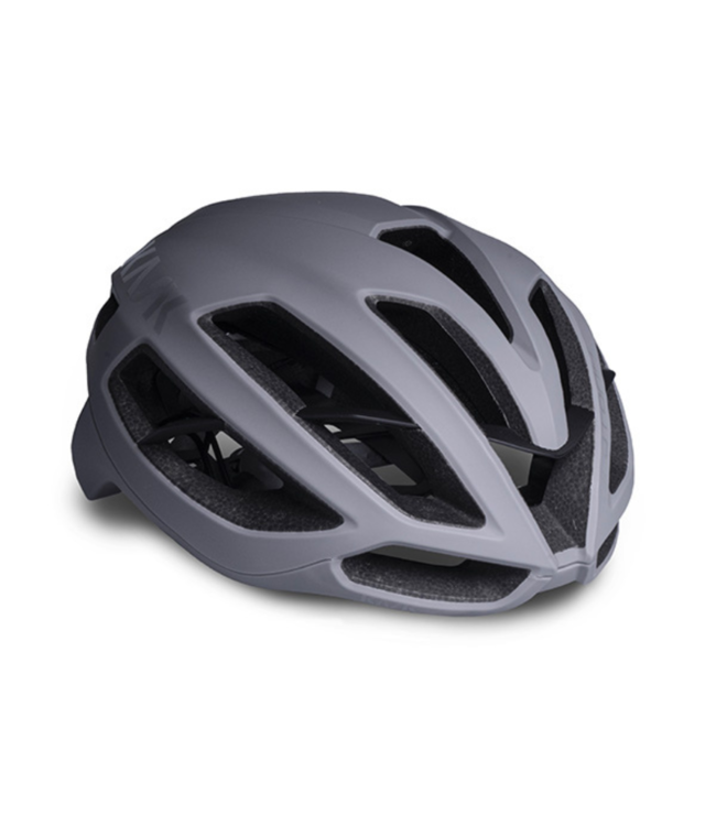 KASK Protone Icon Helmet