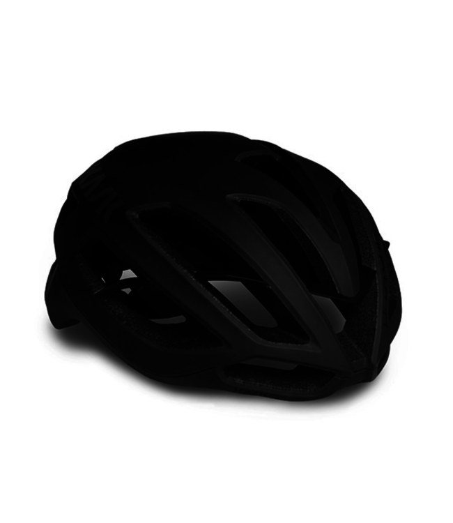KASK Protone Icon Helmet