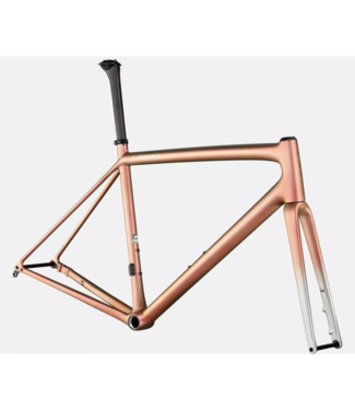 SPECIALIZED Specialized  S-Works Aethos Frameset Flake Silver/Red Gold Chameleon Tint/Brushed Chrome 56