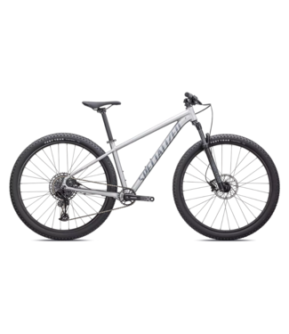 SPECIALIZED Specialized Rockhopper Expert 29 Satin Silver Dust / Black Holographic Extra Extra Large