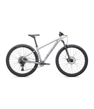 SPECIALIZED Specialized Rockhopper Expert 29 Satin Silver Dust / Black Holographic Large
