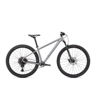 SPECIALIZED Specialized Rockhopper Expert 29 Satin Silver Dust / Black Holographic Extra Large
