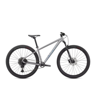 SPECIALIZED Specialized Rockhopper Expert 29 Satin Silver Dust / Black Holographic Large