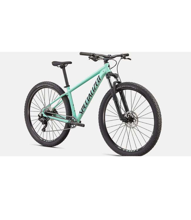 specialized rockhopper oasis