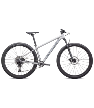 SPECIALIZED Specialized Rockhopper Expert 29 Satin Silver Dust / Black Holographic Small