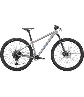 SPECIALIZED Specialized Rockhopper Expert 29 Satin Silver Dust / Black Holographic Medium